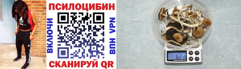 Галлюциногенные грибы Magic Shrooms  Красноуральск 